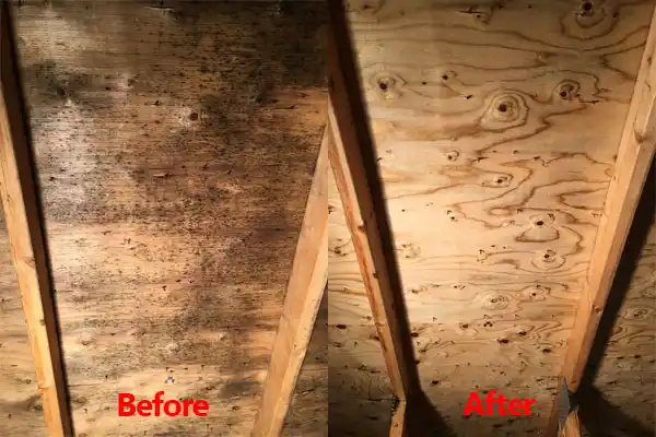 water damage restoration service Delphos